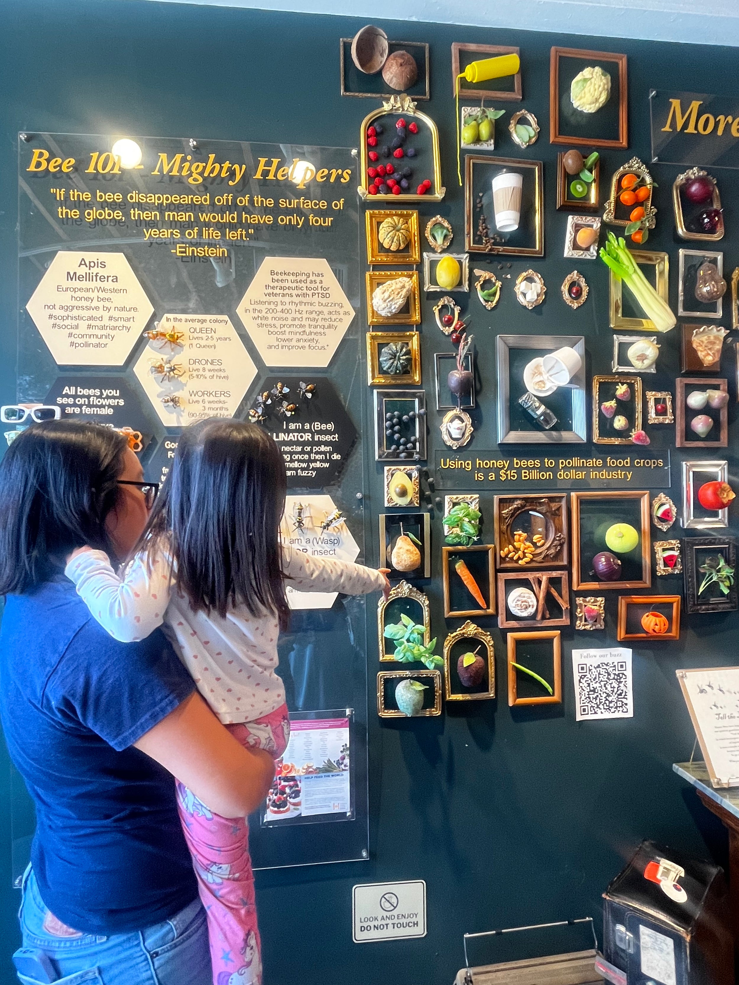 Video Showing Highlights of the mobile bee museum